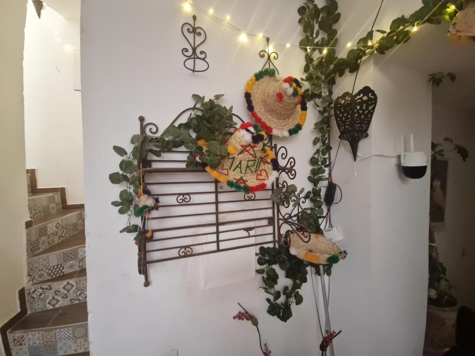 Hostel Banana タンジェ エクステリア 写真