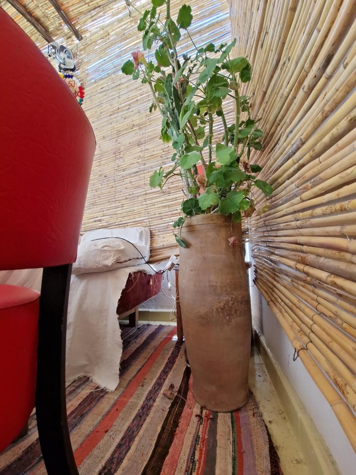 Hostel Banana タンジェ エクステリア 写真