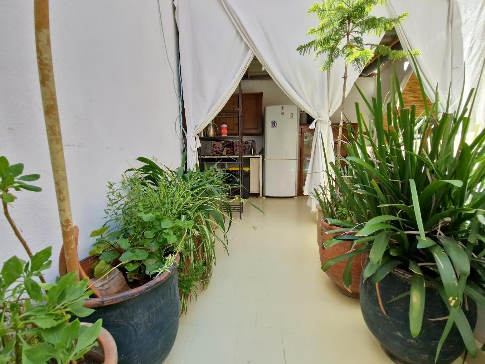 Hostel Banana タンジェ エクステリア 写真