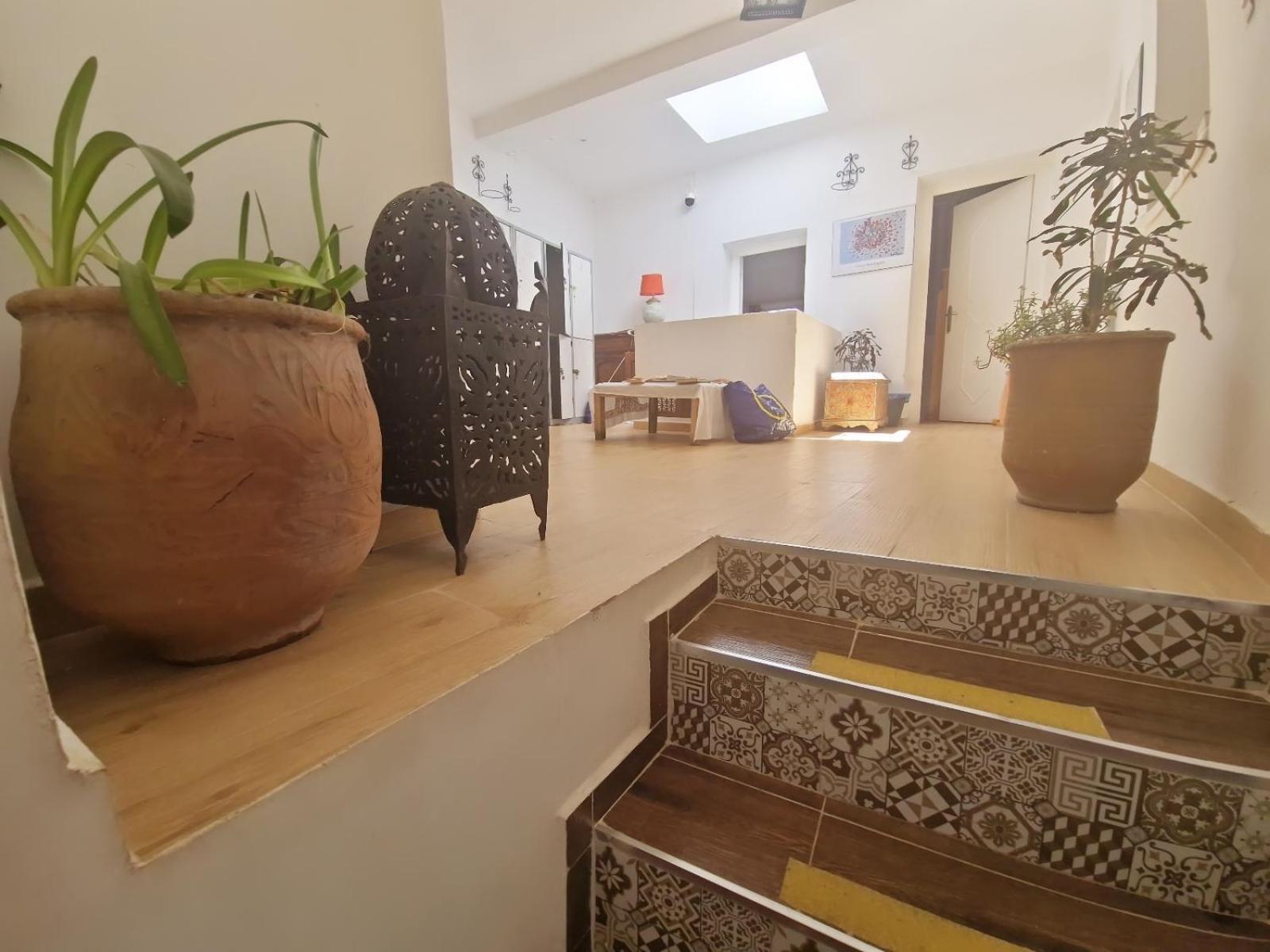 Hostel Banana タンジェ エクステリア 写真